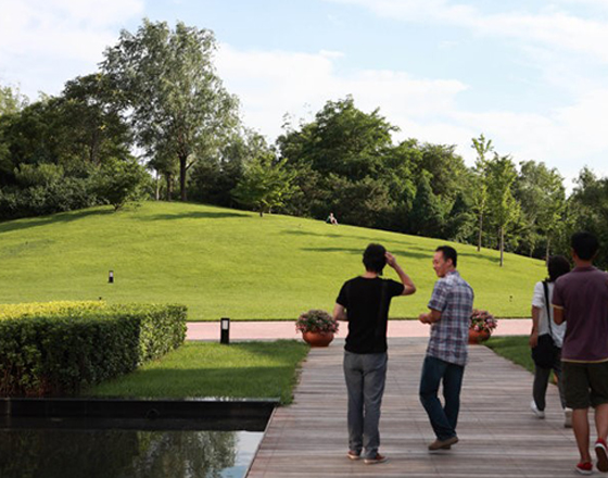 馬奈草地國際俱樂部 綠（lǜ）化