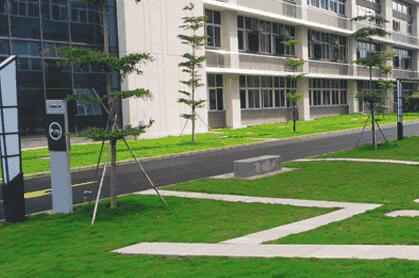 綠化苗木移植過程中，土球散了怎（zěn）麽辦？ 別急，園林公司有辦法（fǎ）