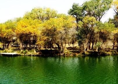 綠化公司為您介紹城（chéng）市公園植物的配置原則