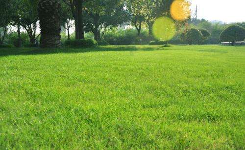 園林（lín）綠化（huà）公司