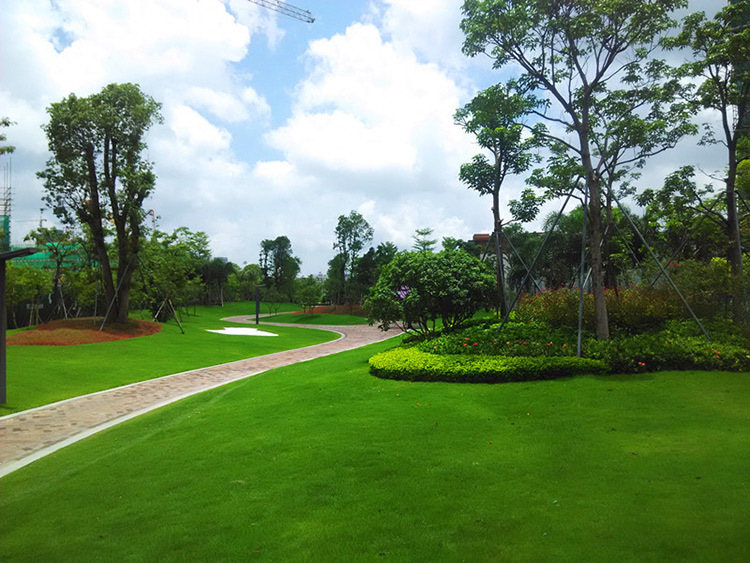 城市園（yuán）林綠化應特別注意什麽（me）