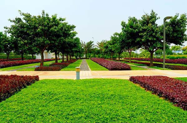 園林綠化的施工工程包（bāo）含了什麽