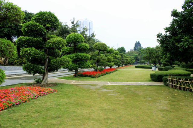 園林綠化應該（gāi）注意的一（yī）些小細節