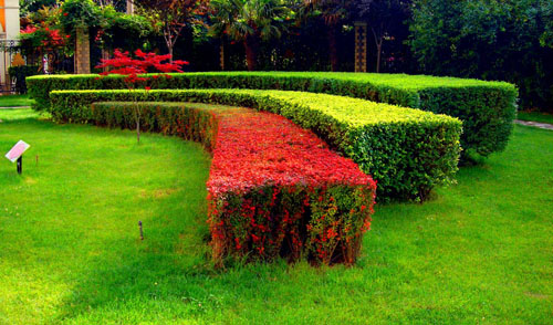 園林綠化（huà）要注意哪（nǎ）些（xiē）細節