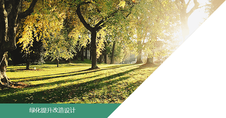 綠化（huà）提升改造設計