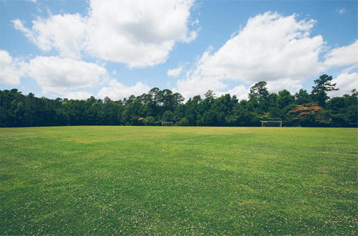 荒山平原造（zào）林綠（lǜ）化改造