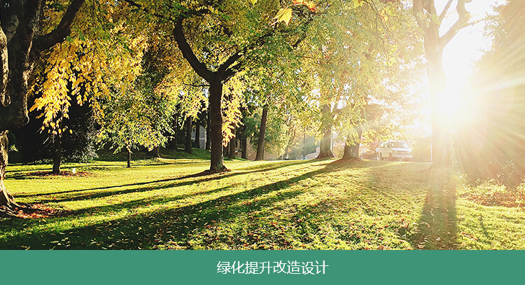 綠化提升改造設計（jì）