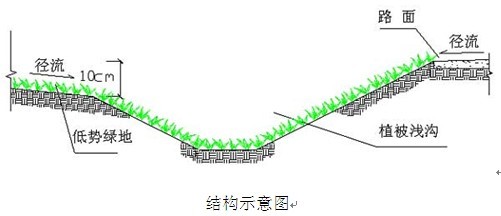 植被淺（qiǎn）溝