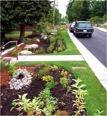 植被淺溝（gōu）6