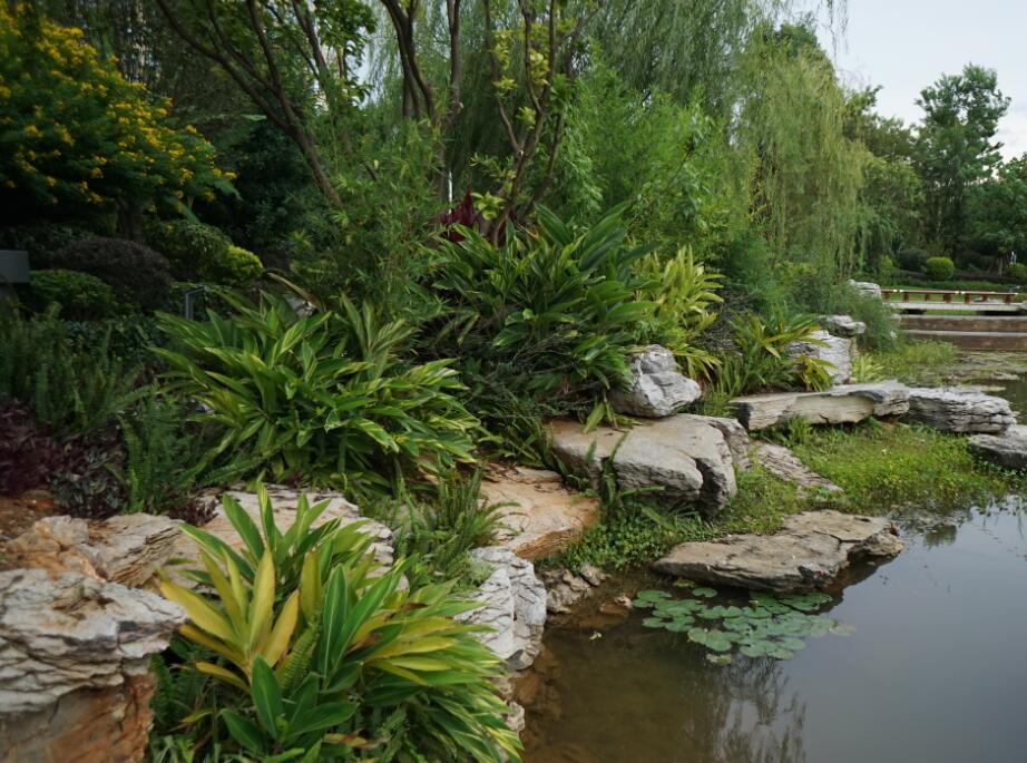 園林綠化工程（chéng）類別（bié）我們如何進行劃分