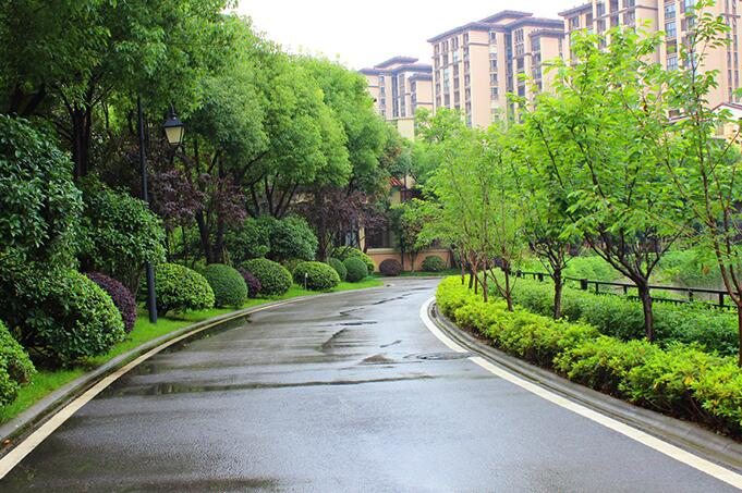 草花在園林綠化中的重要（yào）作用有哪（nǎ）些