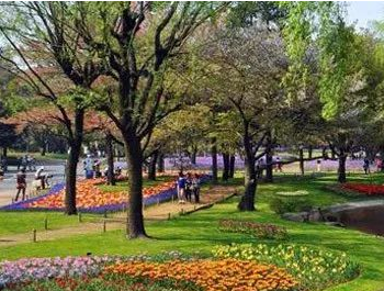 園林綠化（huà）工程師證如何考（kǎo）報考要求