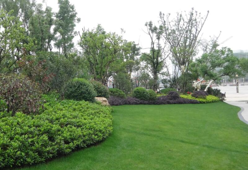 園林（lín）綠化工程施工五大細節，你了解多少