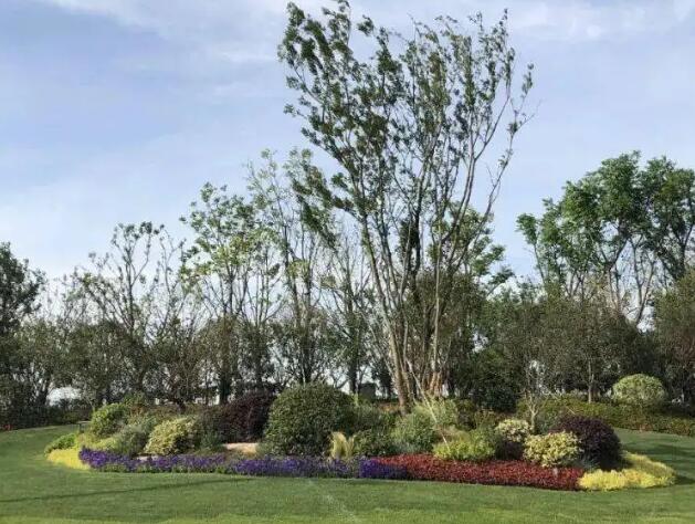 前期介入園林綠化工程該注意的問題都有哪些（xiē）