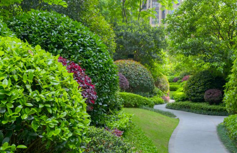 你（nǐ）了解園林（lín）綠化養護存在哪些意義