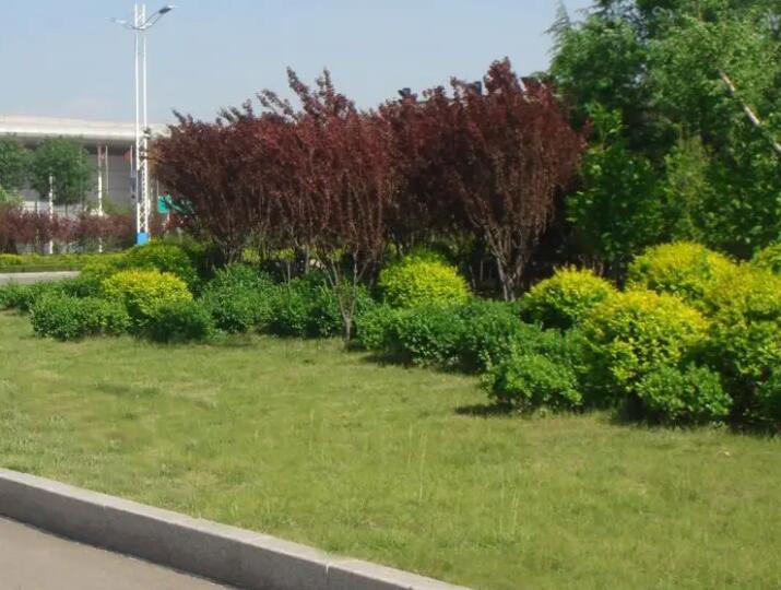 園林綠化工程施工與養護的需（xū）要有（yǒu）效（xiào）的結合