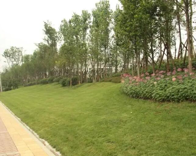 綠化（huà）工（gōng）程的造價方法有哪些