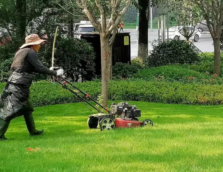 綠化養（yǎng）護包括哪些方（fāng）麵 綠化養護包括什麽