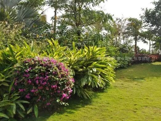 園林綠化涉及到的稅率（lǜ）變（biàn）化