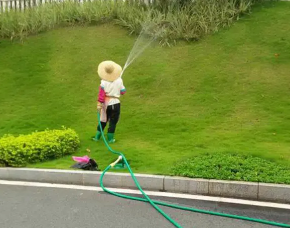 春季園林綠化養（yǎng）護要點