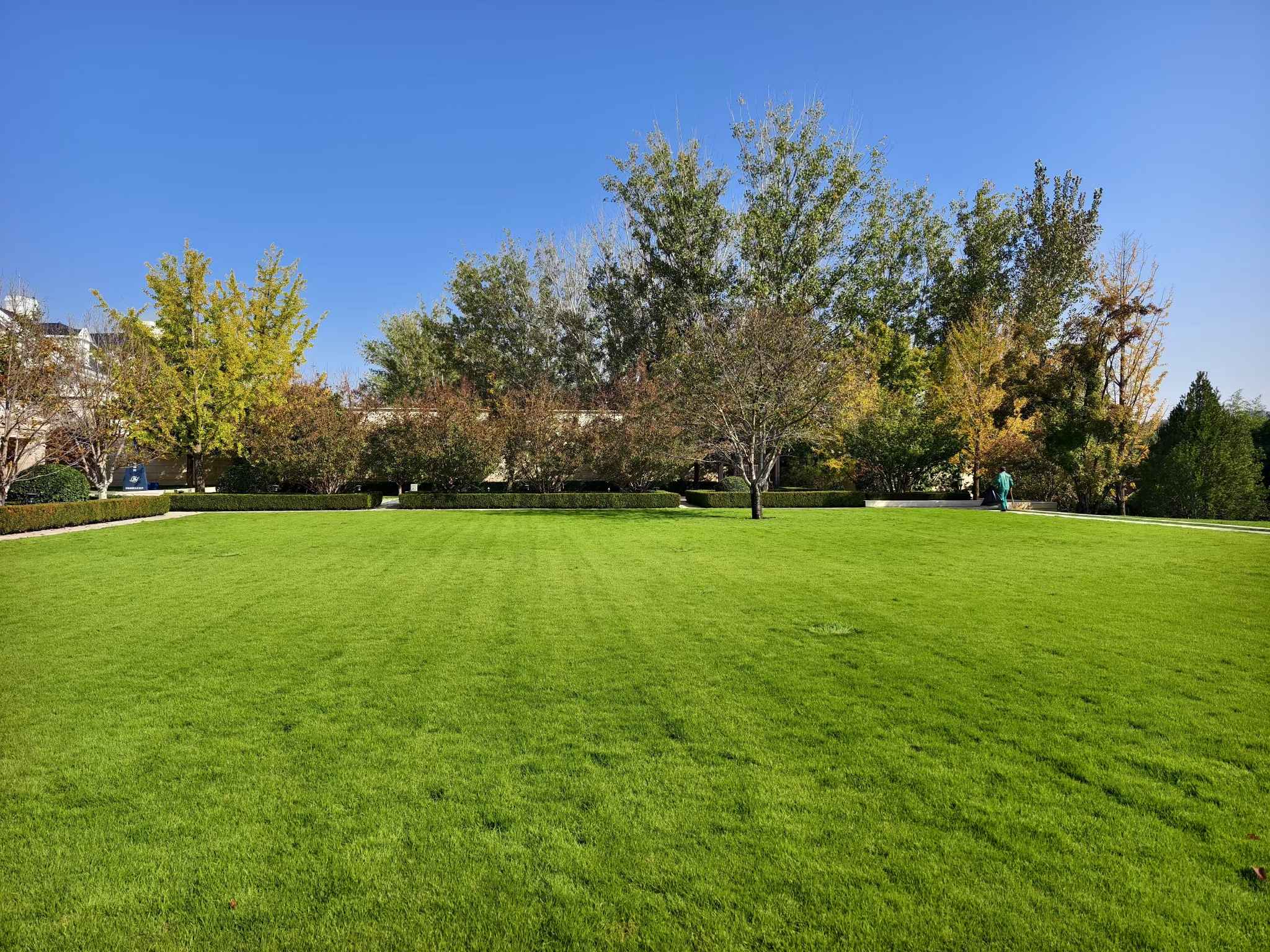 B站9.1免费版（hóng）園林入駐石榴滄州綠化項目，共築城（chéng）市美好未來（lái）