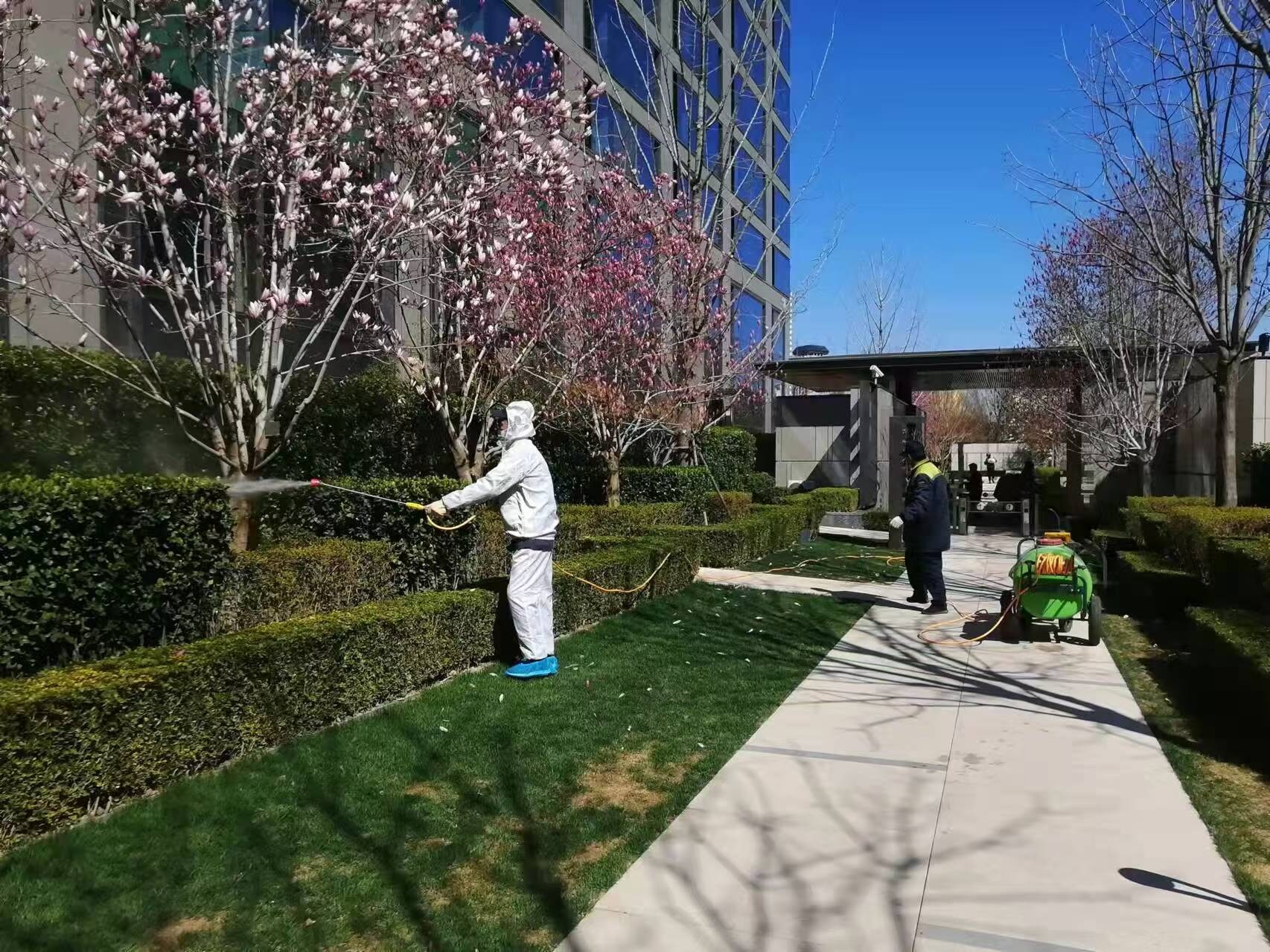 北（běi）京春季園林（lín）綠化養護之石硫合劑