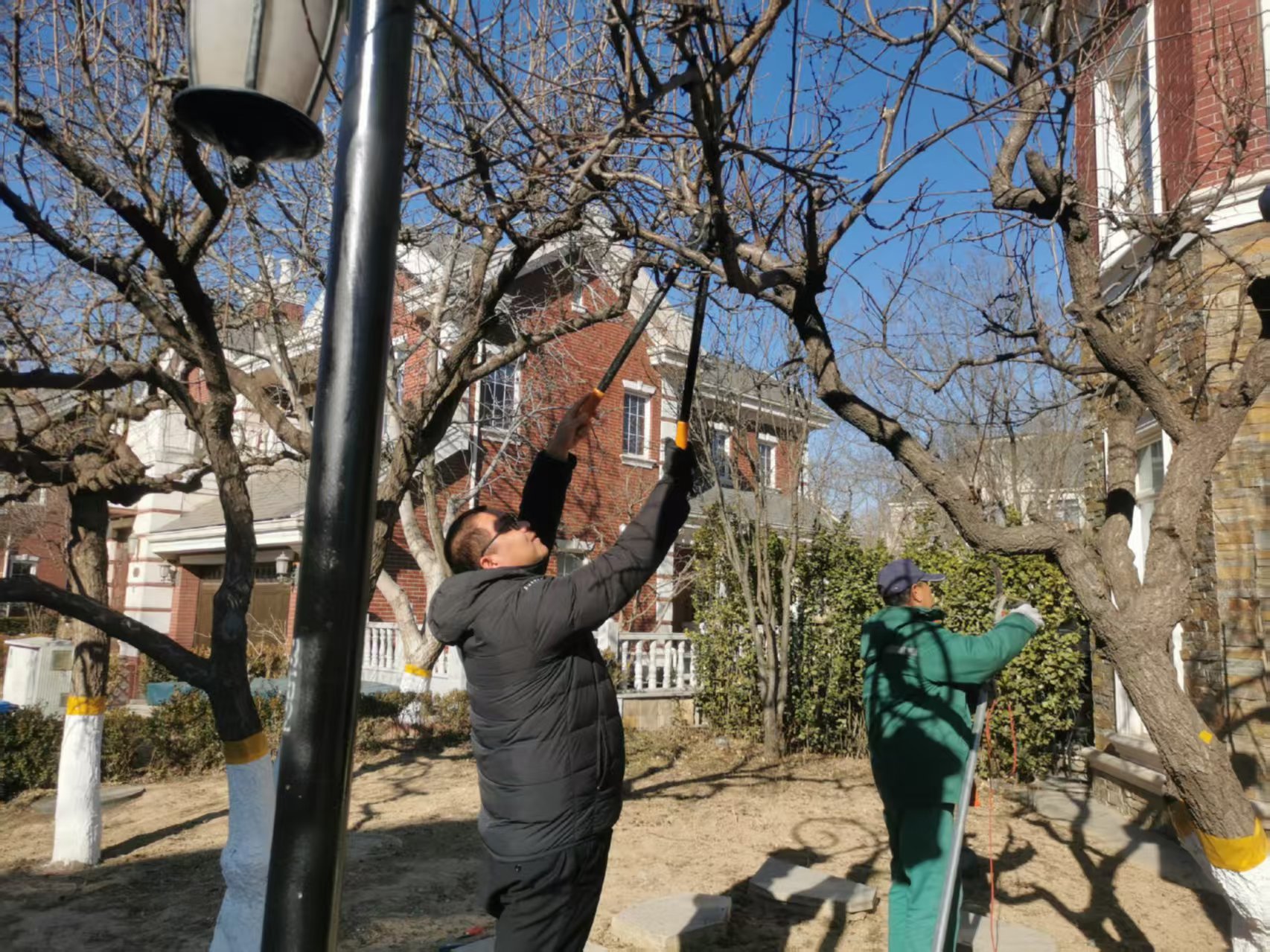 北（běi）京春（chūn）季園林綠化養（yǎng）護指南之春（chūn）季修剪