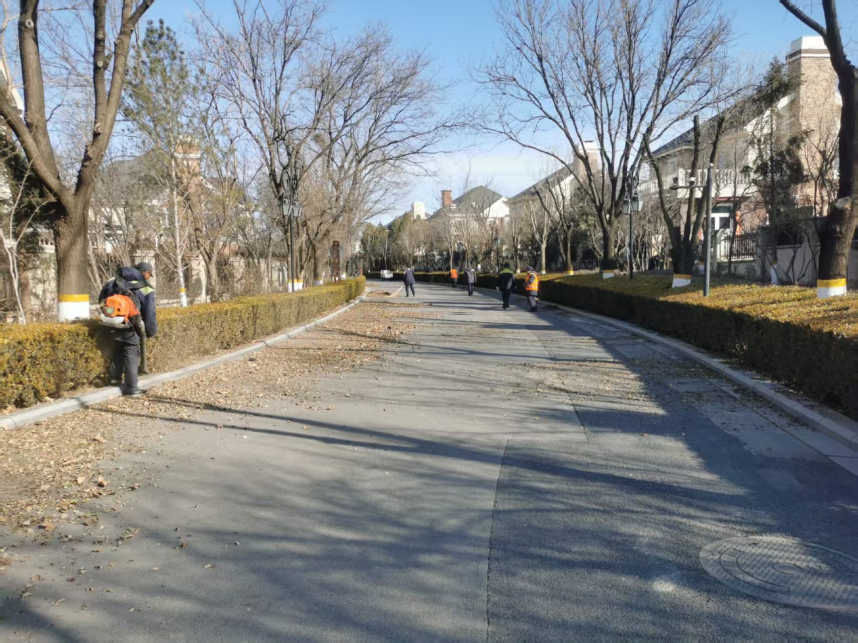 北京春（chūn）季園林綠化養護指南之（zhī）春季（jì）清園