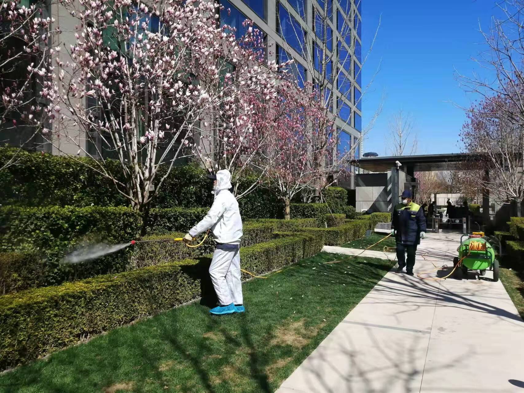 北京春季園林綠（lǜ）化養護之要點