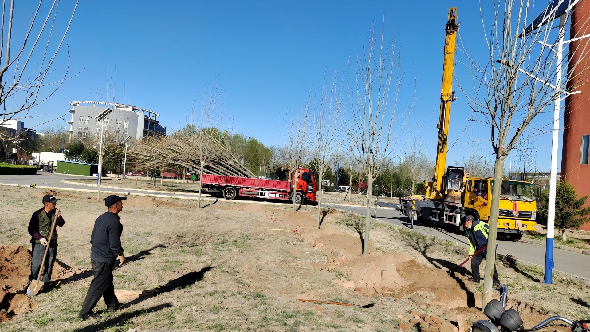 在北京（jīng）進行春（chūn）季種樹，最佳時間是什麽時（shí）候