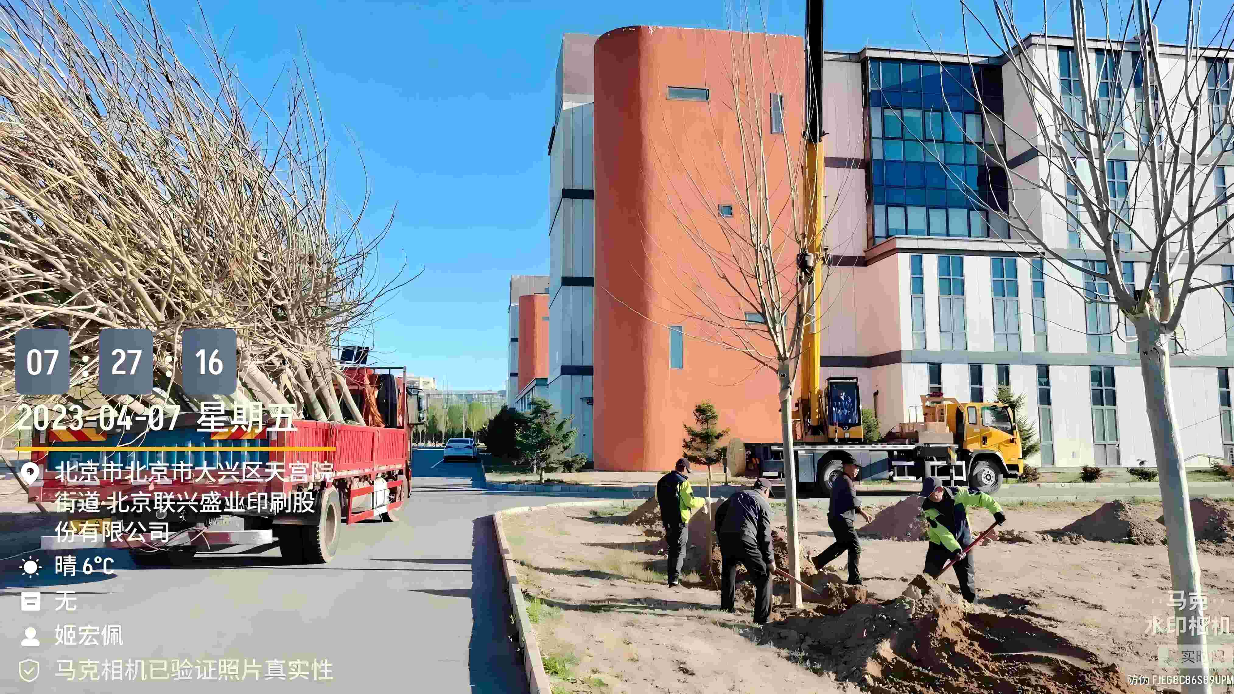 北京春季植樹最好的時間是什麽時候？