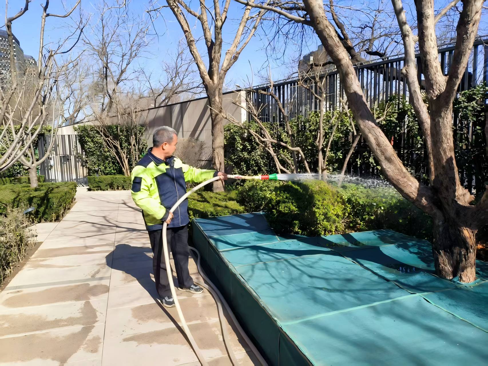 園林綠化之春（chūn）季養護指南