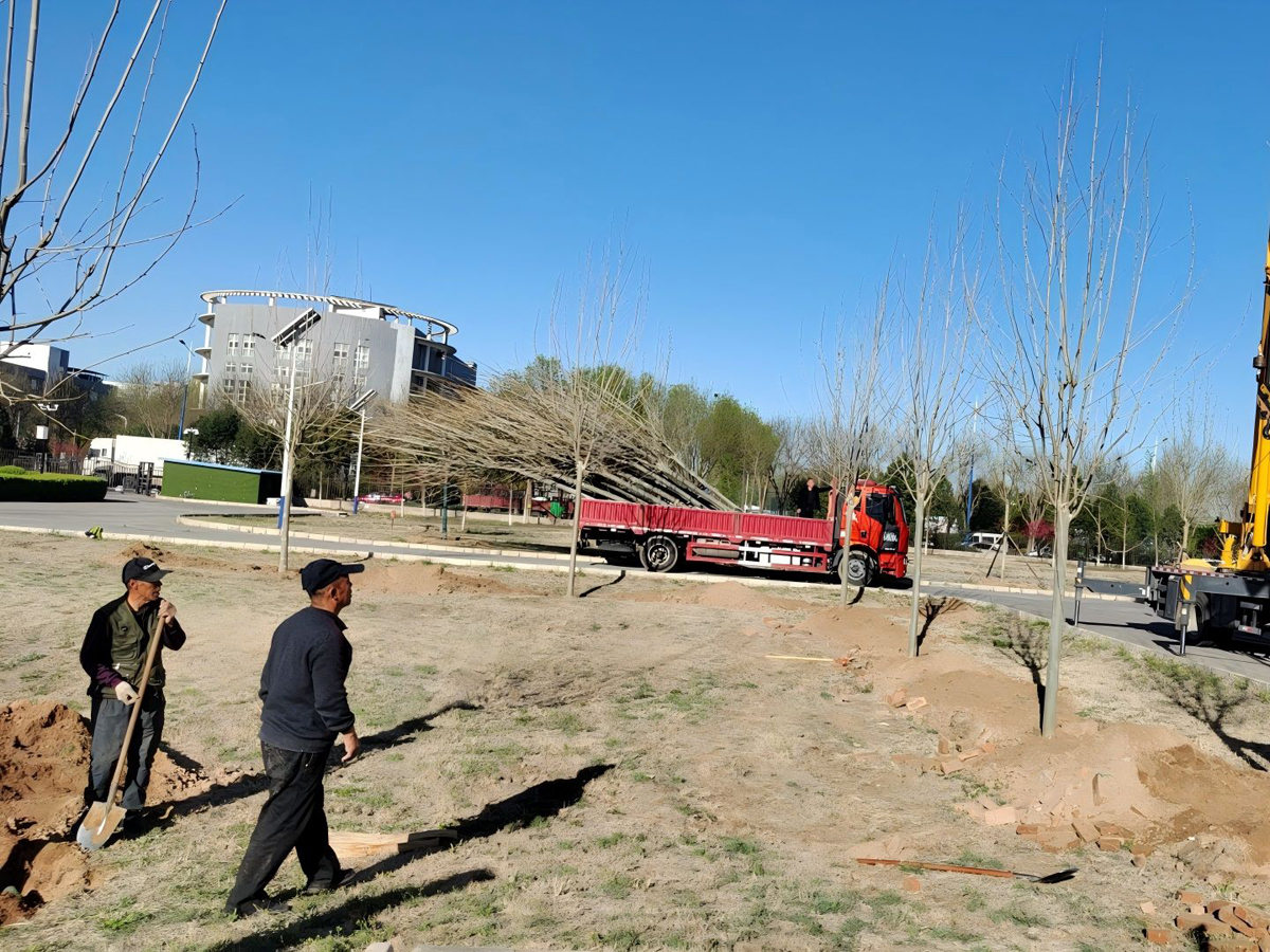 中國獸（shòu）藥監督（dū）所