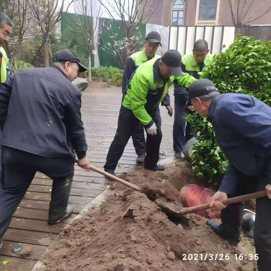 園（yuán）林綠化工程（chéng）施工中有那些注意事（shì）項