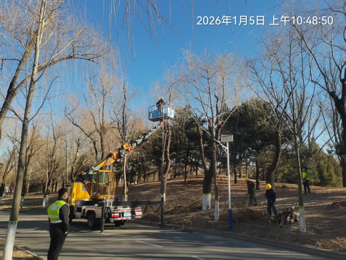 大湖山莊關於冬季樹木（mù）修剪工作今天（tiān）啟動